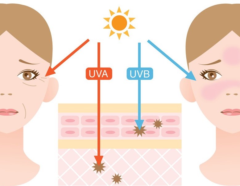 Cần dưỡng da vào mùa hè để tránh khỏi sự ảnh hưởng của tia nắng lên làn da 